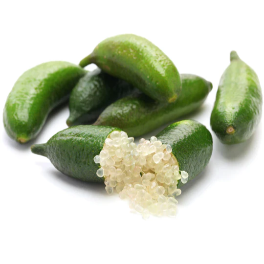 Green Finger Lime (Citrus australasica) - Seedling - LIVE PLANT