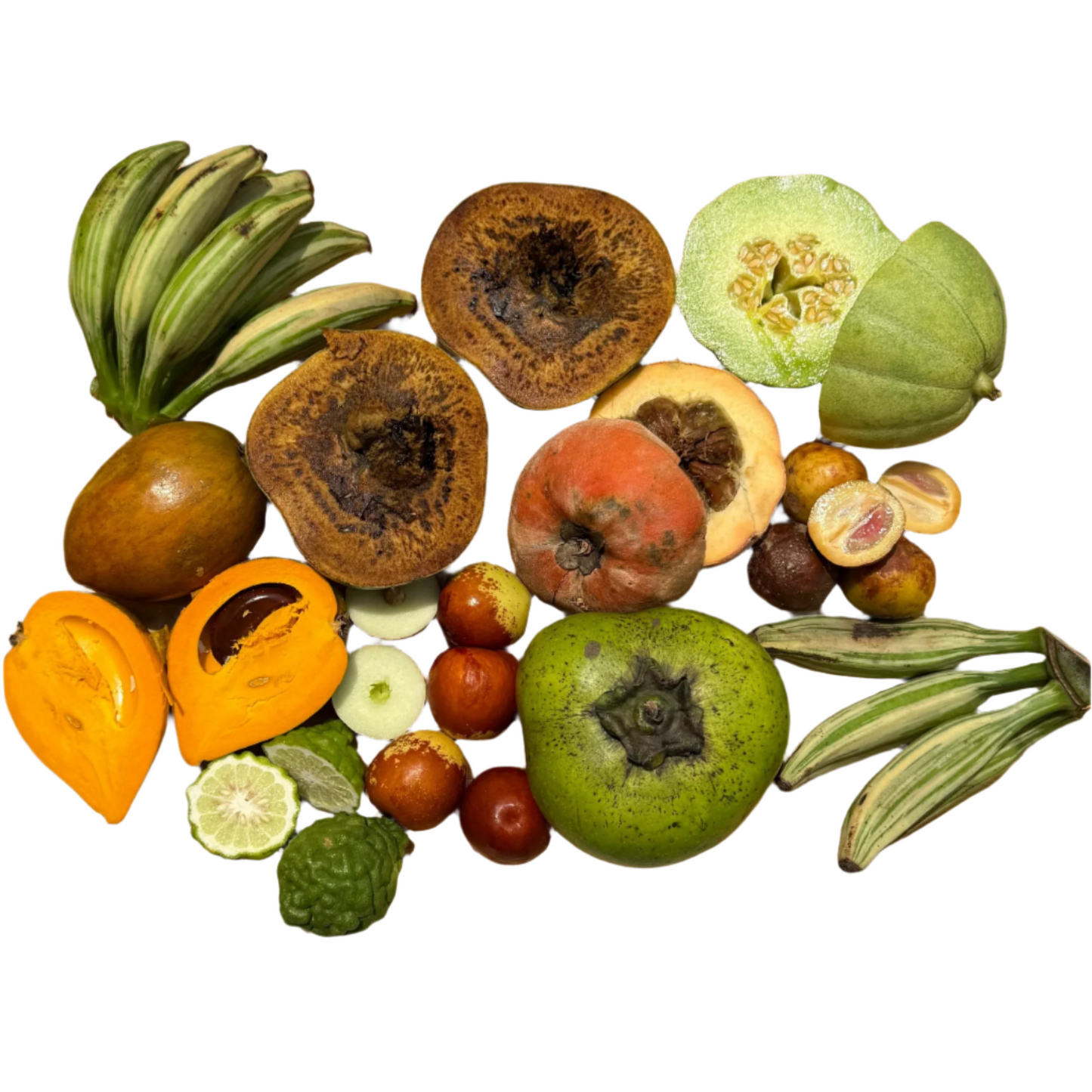 Rare Fruit Box