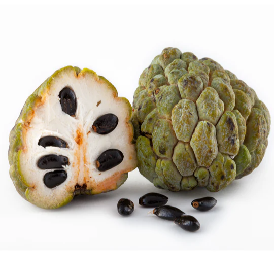 Sugar Apple 'Thai Lessard' (Annona squamosa L) - Air Layer - LIVE PLANT