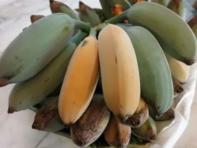Blue Java Banana - FRESH FRUIT