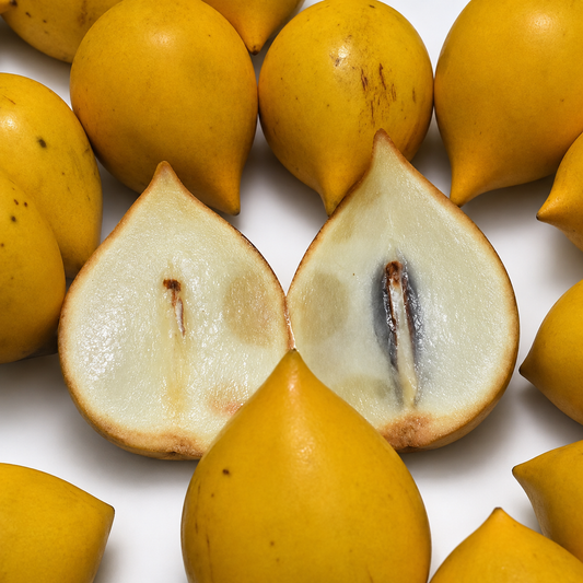Abiu Fruit - FRESH FRUIT