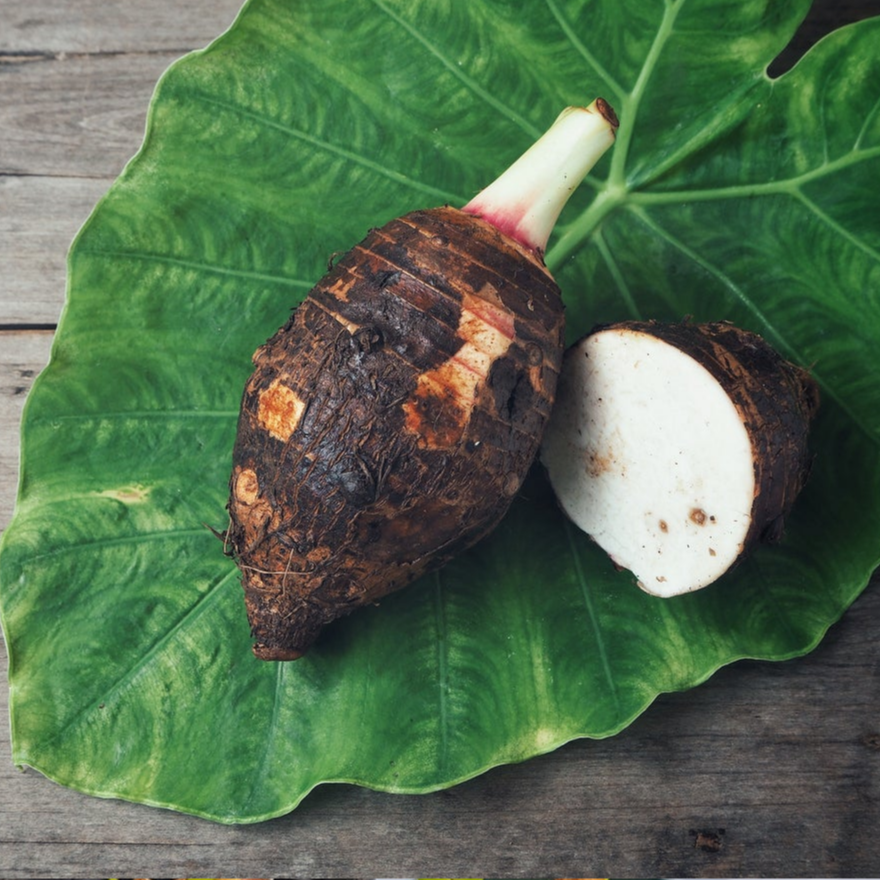 Aravi (Colocasia esculenta) - Seedling - LIVE PLANT