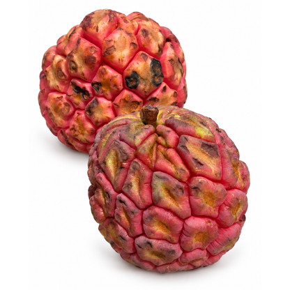 Crimson Kadsura - FRESH FRUIT