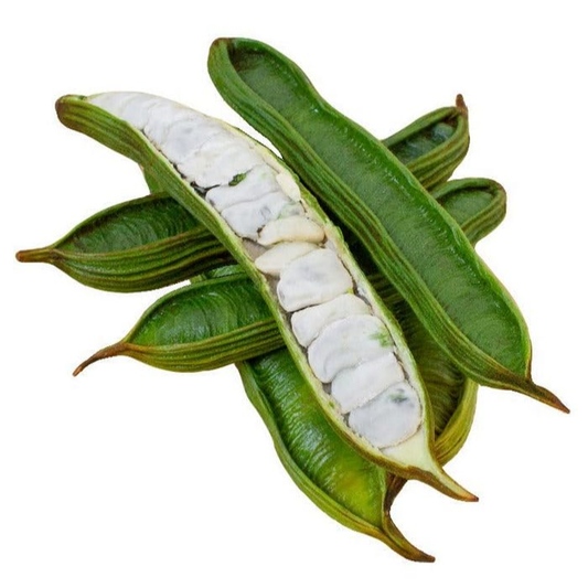 Icecream Bean - FRUIT