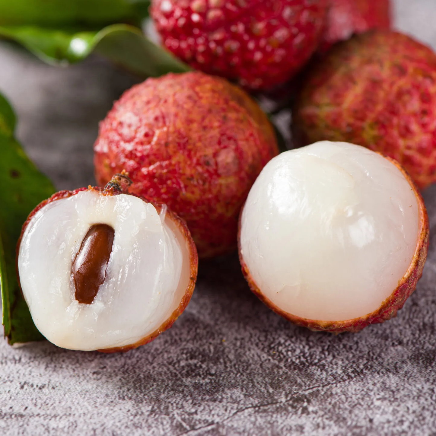 Lychee (Litchi chinensis) - Grafted - LIVE PLANT