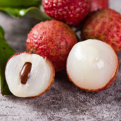 Lychee (Litchi chinensis) - Grafted - LIVE PLANT