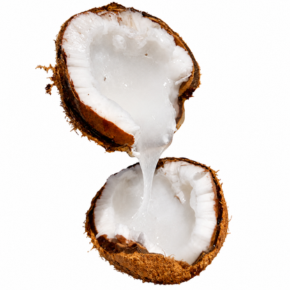 Macapuno Coconut - FRESH FRUIT