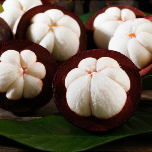 Mangosteen (Garcinia mangostana) - Seedling - LIVE PLANT