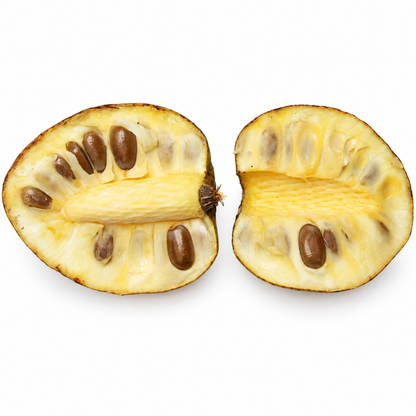 Pond Apple Annona glabra cut halves showing yellow flesh and brown seeds