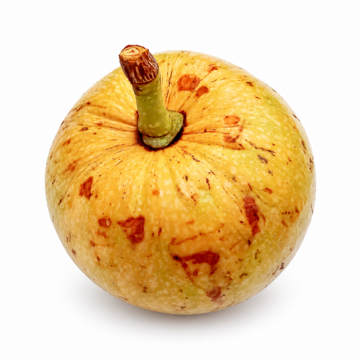 Pond Apple (Annona glabra) whole ripe fruit on a white background