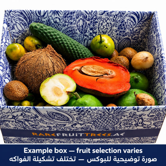 Rare Fruit Box