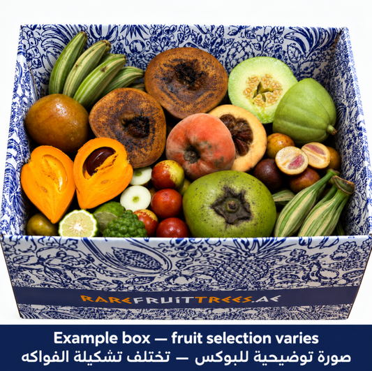 Rare Fruit Box