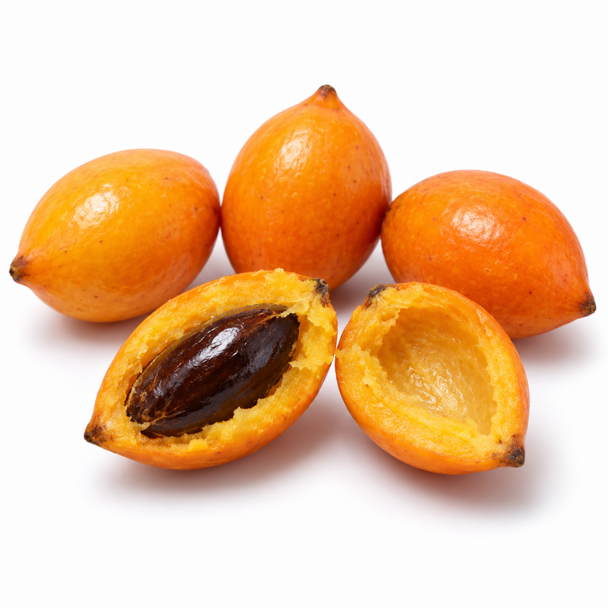 Spanish Cherry Mimusops elengi cut open showing yellow flesh and brown seed