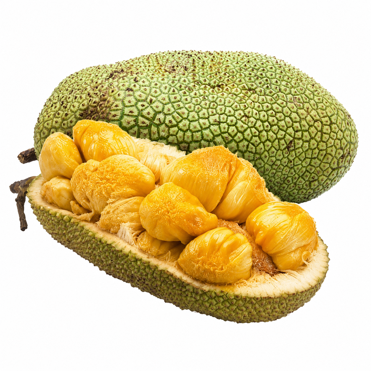 Chempedak - FRESH FRUIT