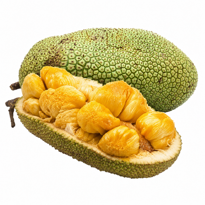 Chempedak - FRESH FRUIT