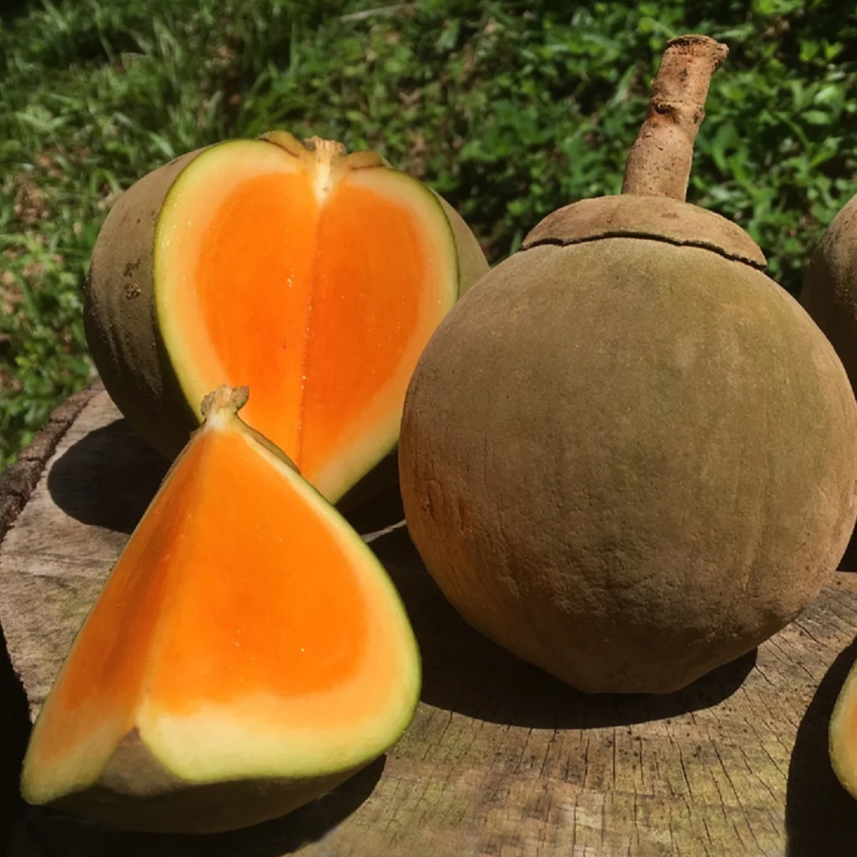 Chupa Chupa - FRESH FRUIT