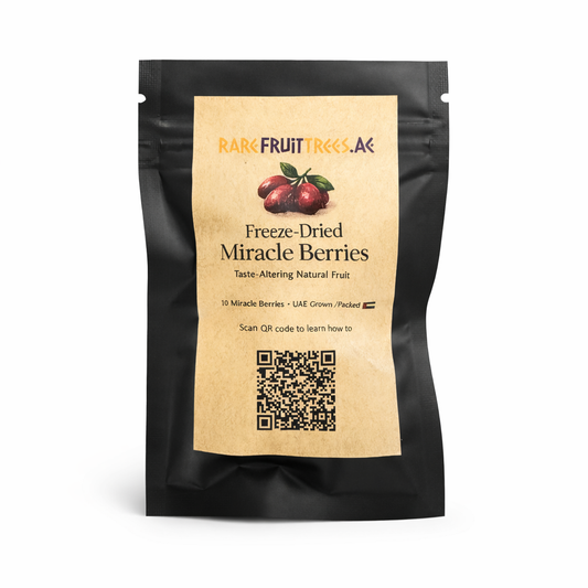 Freeze Dried Miracle Berry - FRESH FRUIT