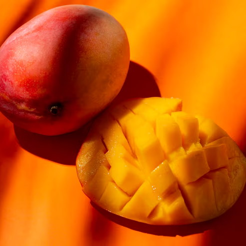 Mango 'Gedong Gincu' (Mangifera indica) - Grafted - LIVE PLANT