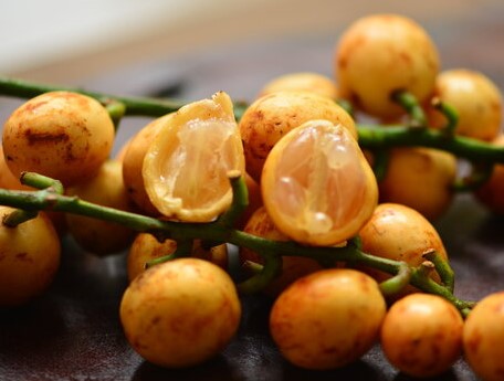 Menteng and Kepondong - FRESH FRUIT
