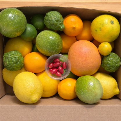 Miracle Berry Experience Box - FRESH FRUIT