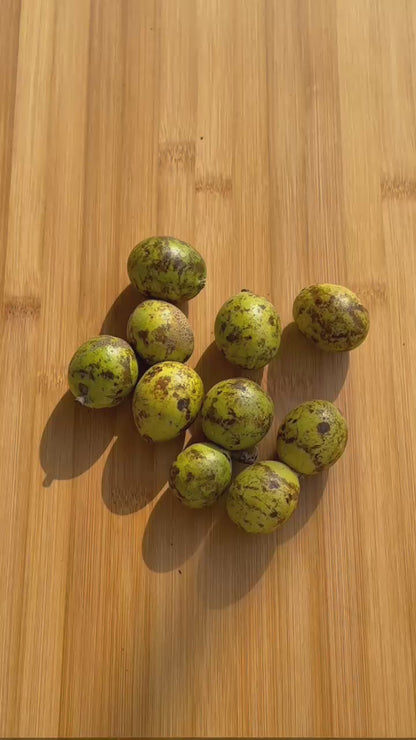 Rare Fruit Box