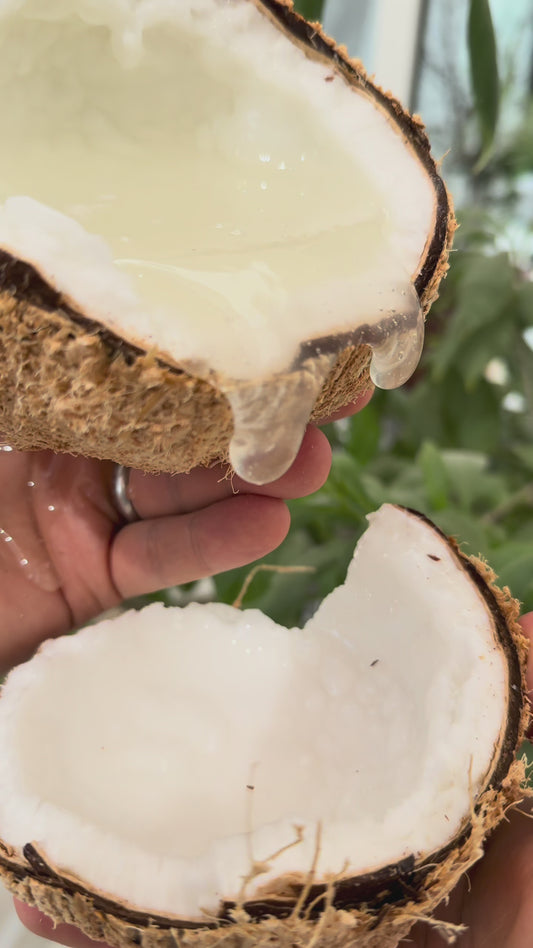 Macapuno Coconut - FRESH FRUIT