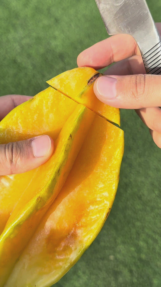 StarFruit - FRESH FRUIT