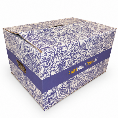 Decorative box with floral pattern and purple ribbon on a white background
