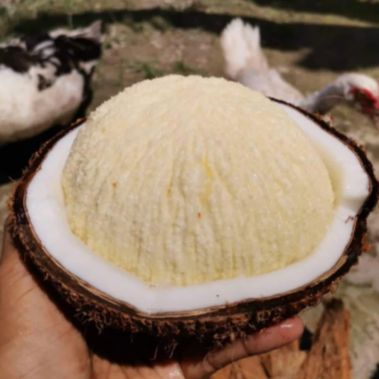 Sprouted Coconut - FRESH FRUIT