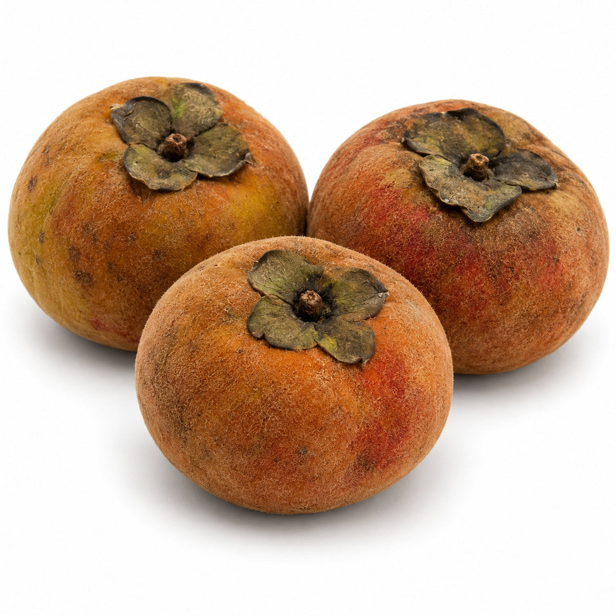 Whole velvet apples (Diospyros blancoi) with copper-red velvety skin on a white background